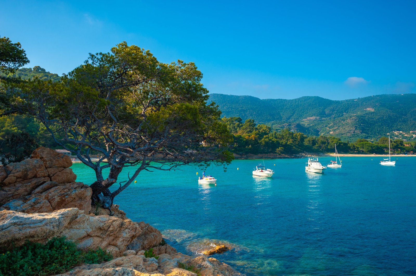 Landscape of the Calanques du Layet in Le Lavandou Excursions bateau à Toulon