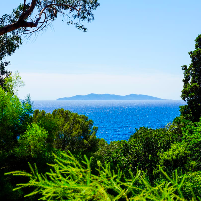 evasion-au-rayol-canadel-sur-mer-et-vue-incroyable-sur-la-mer